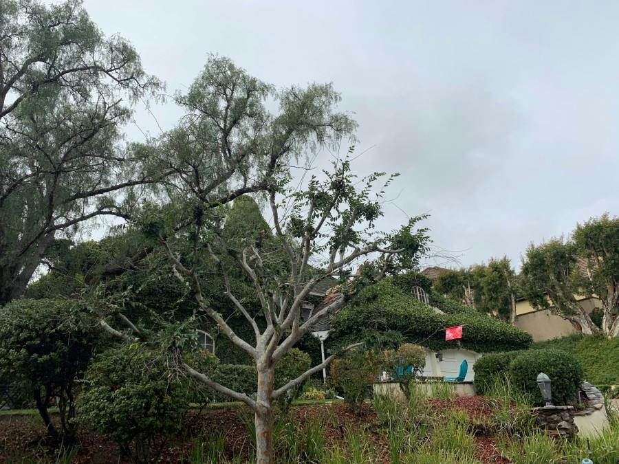 Glocamora Ln, San Juan Capistrano, CA 92675 #1