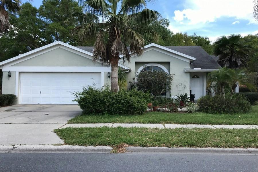 Painter Dr, Land O Lakes, FL 34639