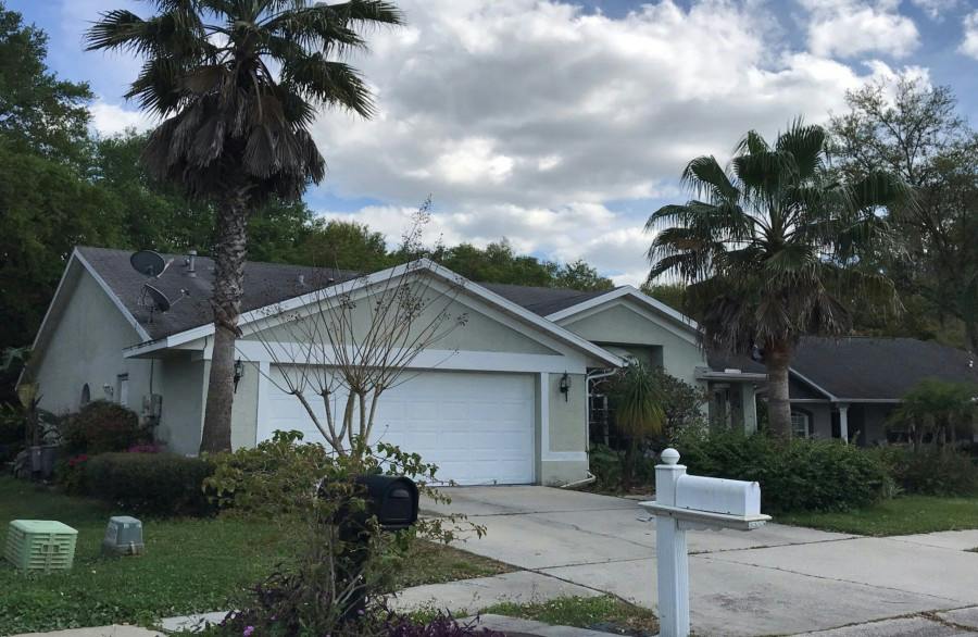 Painter Dr, Land O Lakes, FL 34639 #1