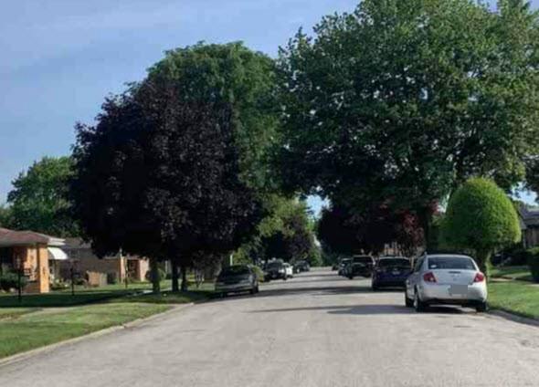 Gauger Ave, Harvey, IL 60426