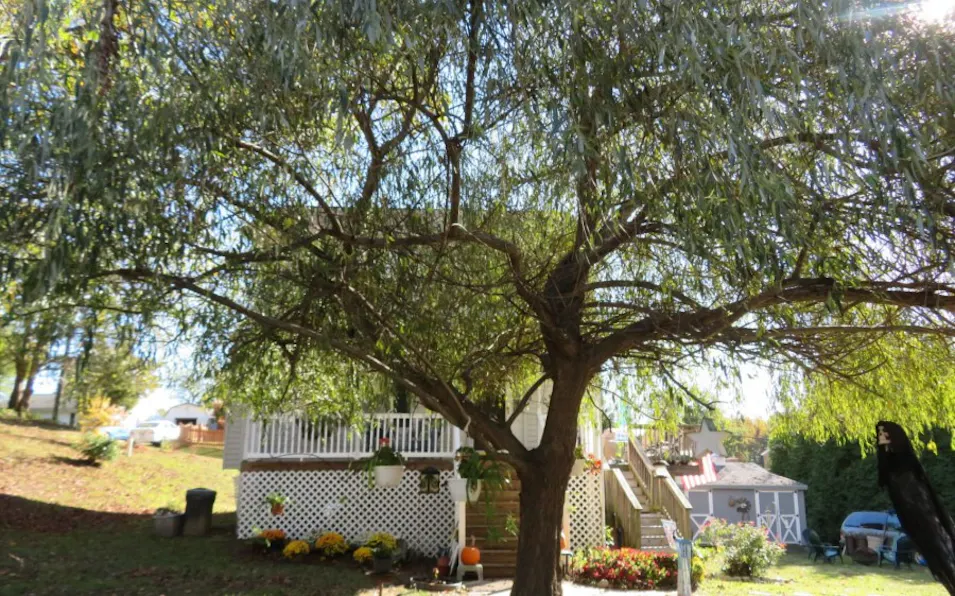3306 Recker Rd Chesapeake Beach, MD 20732, Calvert County