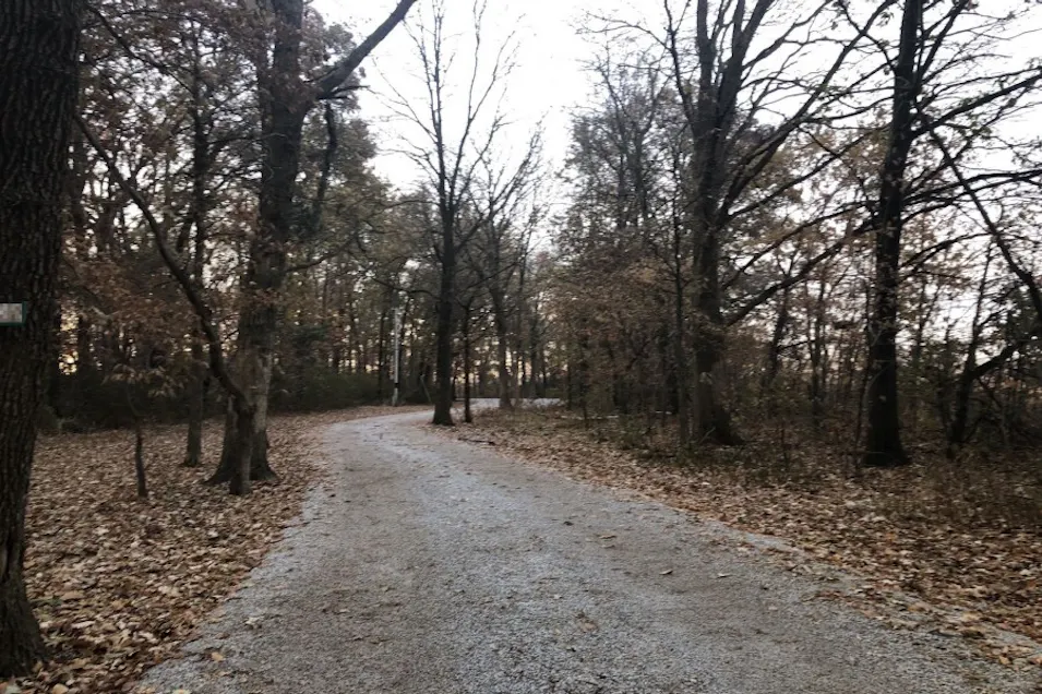 2314 N1570 East Rd Ashkum, IL 60911, Iroquois County