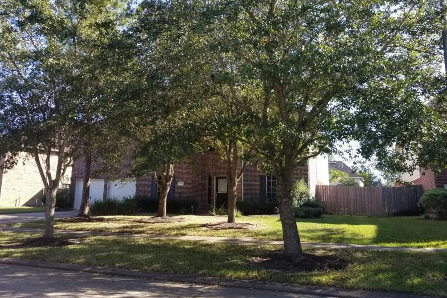 Silver Canyon Ln, Rosharon, TX 77583 #1