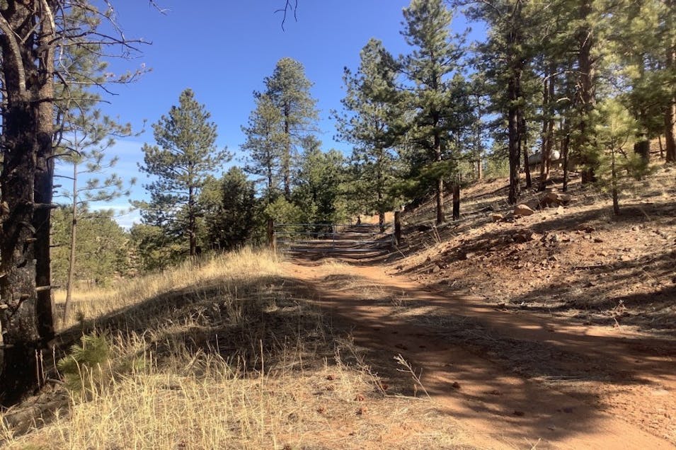 13645 South State Highway 67 Sedalia, CO 80135, Douglas County