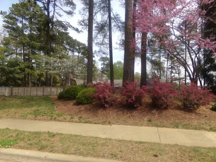 Leesville Rd, Raleigh, NC 27613 #1