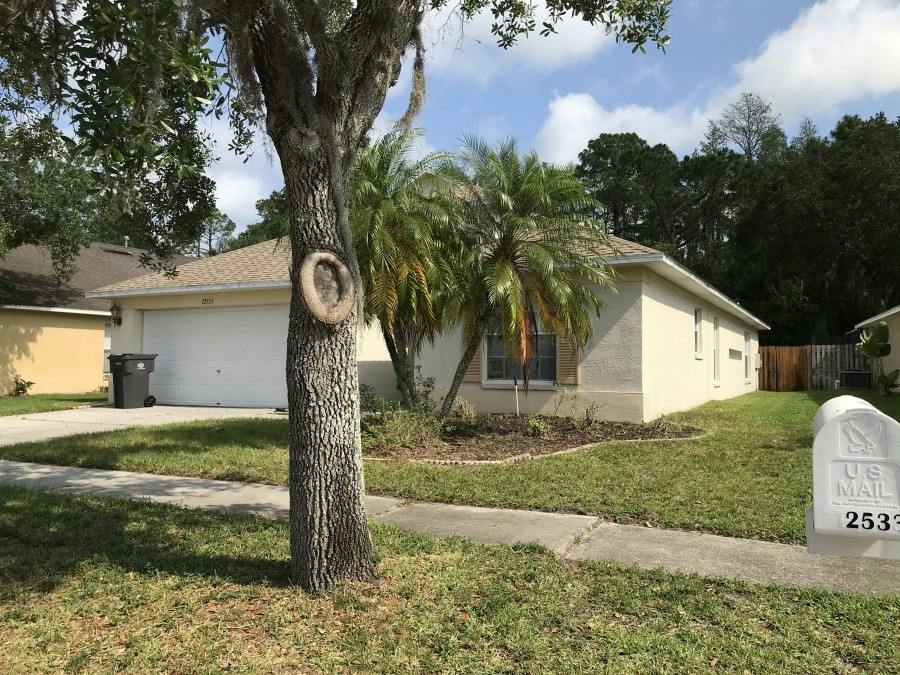Sparkleberry Rd, Tampa, FL 33626 #1