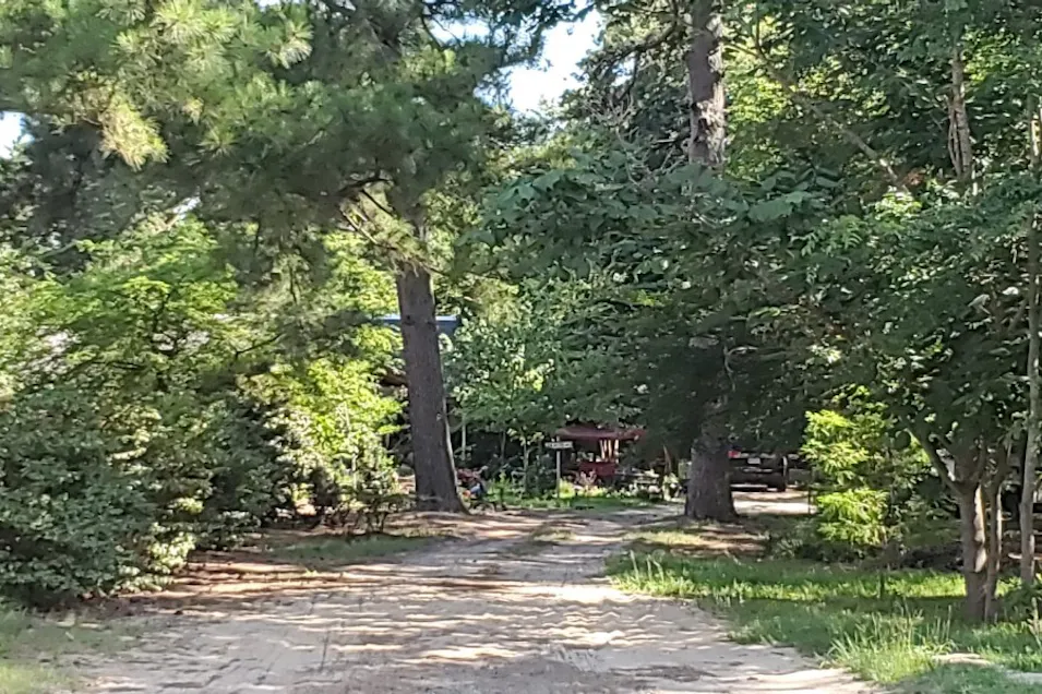 9603 Fm 346 East Whitehouse, TX 75791, Smith County