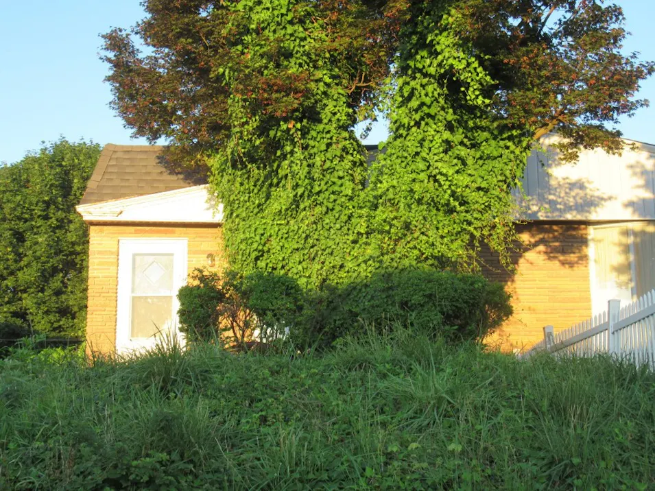 1916 Evarts St Philadelphia, PA 19152, Philadelphia County