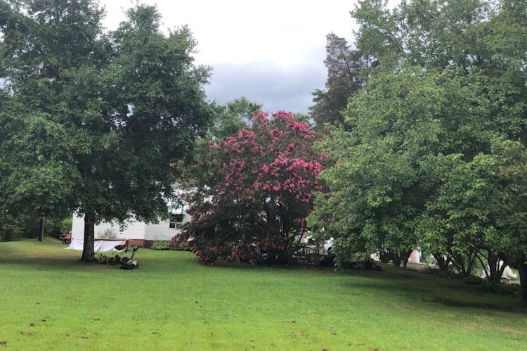 226 Boggs Road Thomasville, NC 27360, Davidson County