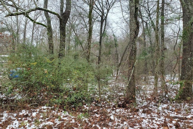 3534 Erin Lucern Road Union, MS 39365, Newton County